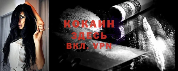 молекула духа Елизово