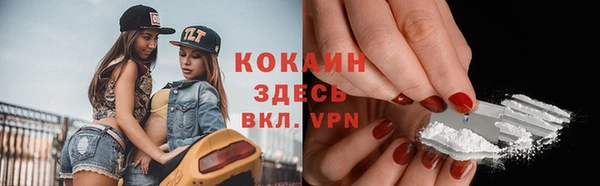 молекула духа Елизово