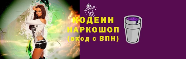 молекула духа Елизово