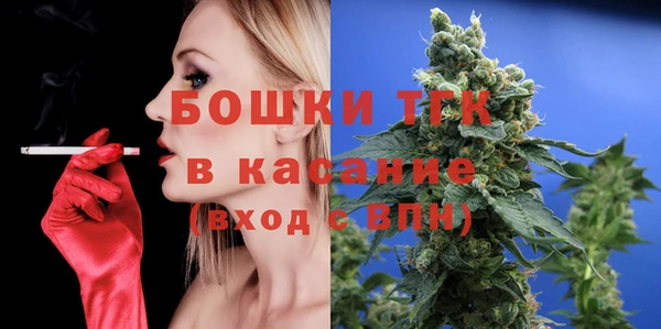 молекула духа Елизово
