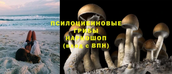 молекула духа Елизово